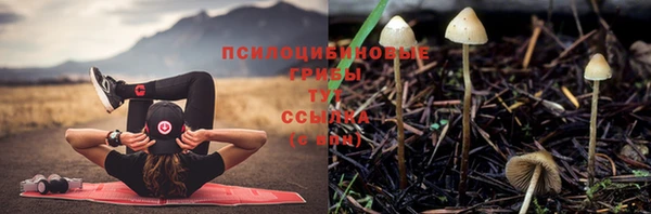 apvp Беломорск