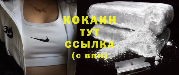 дживик Балахна