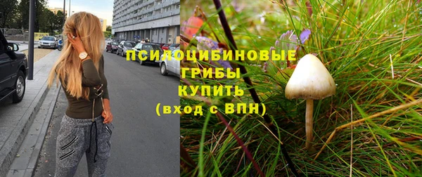 apvp Беломорск