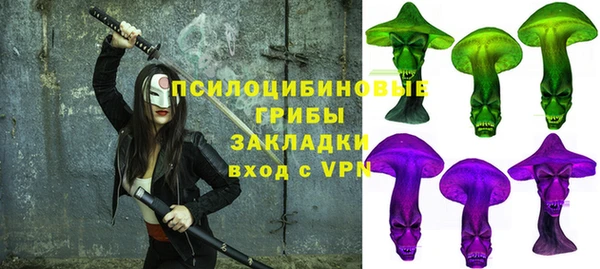 винт Лабытнанги