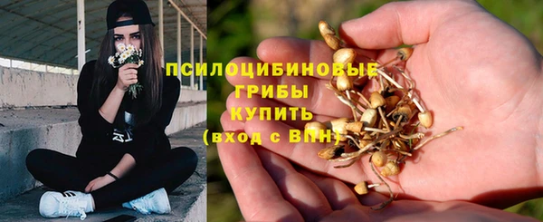 дживик Баксан