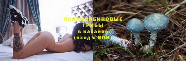 дживик Баксан