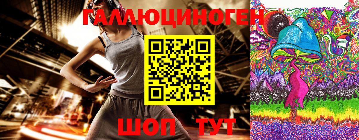 Губаха  Галлюциногенные грибы Cubensis  Вход с VPN 