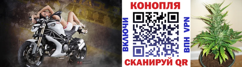 Бошки Шишки ГИДРОПОН Губаха